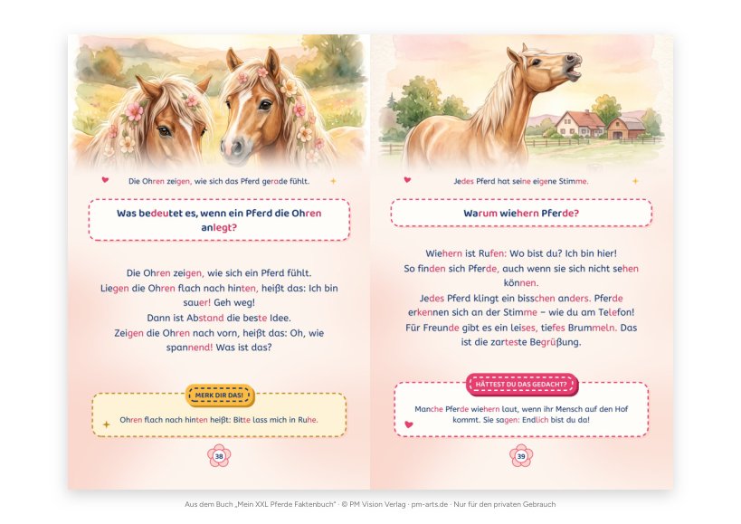 Vorschau: 6 Kinderfragen: Pferde und Ponys